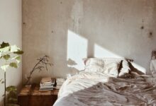 leaf plant near bed